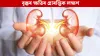 বৃক্ক দুৰ্বল হ'লে আমাৰ চকুৱে দিয়ে এইসমূহ ইংগিত, জানক......