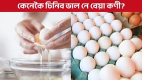 কণী প্ৰিয় নেকি, কেনেকৈ চিনিব ভাল নে বেয়া কণী?