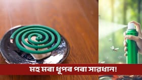 বন্ধ কোঠাত মহ মৰা ধূপ ব্যৱহাৰ কৰে নেকি?