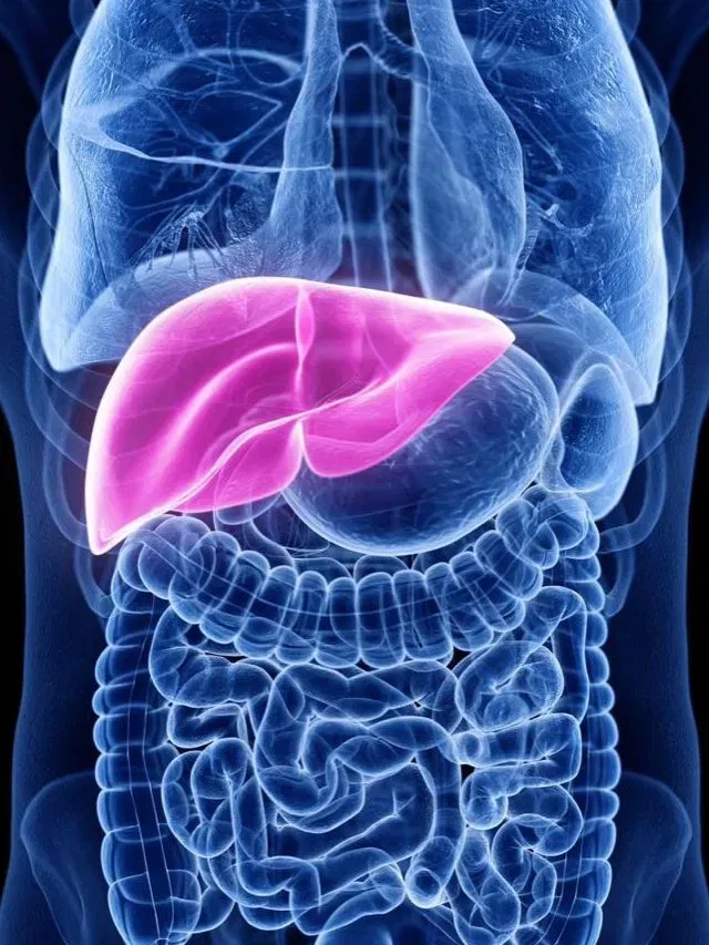 যকৃত দুৰ্বল হ’লে প্ৰাৰম্ভিক অৱস্থাত এই ৫টা লক্ষণে দেখা দিয়ে? জানক…