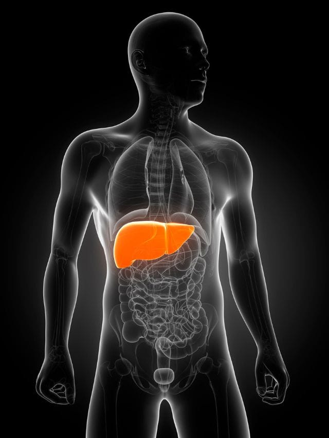 এনে ‘আয়ুৰ্বেদিক মন্ত্ৰ’ৰে সুস্থ কৰি ৰাখিব পাৰিব লিভাৰ, বাচিব জেপৰ ধন