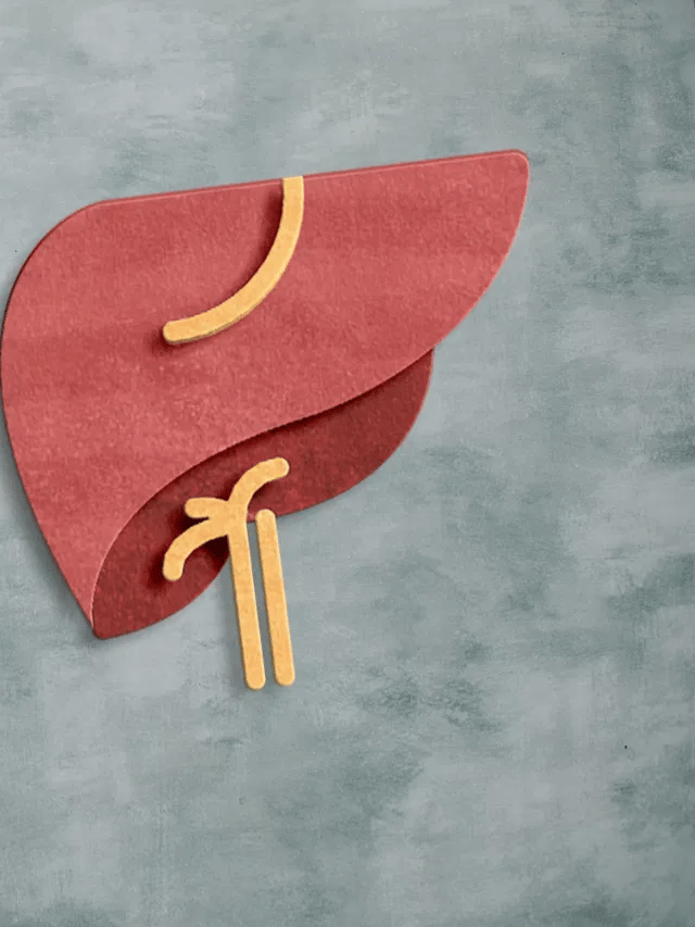 লিভাৰ দুৰ্বল কৰি তোলে এই ৩ বিধ খাদ্যই! জানক…