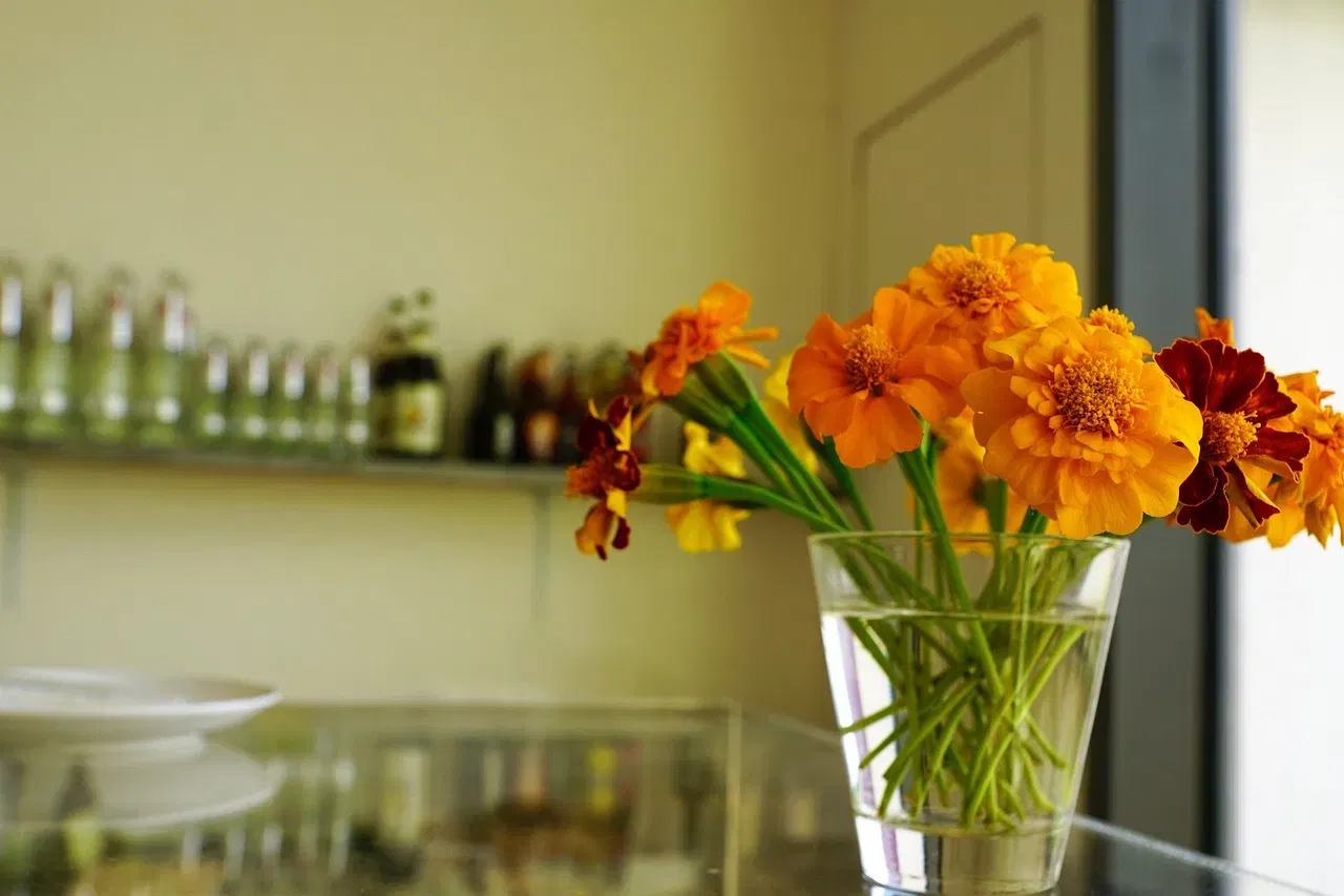 স্বাস্থ্য বিশেষজ্ঞসকলৰ মতে নাৰ্জী ফুল অৰ্শ ৰোগ নিৰাময়ত উপকাৰী। দৈনিক নাৰ্জী ফুলৰ ৰস সেৱন কৰিলে অৰ্শৰ ফলত হোৱা ৰক্তক্ষৰণৰ পৰা সোনকালে সকাহ পোৱা যায়।