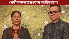 প্ৰাক্তন স্বামীৰ বিৰুদ্ধে কোটি কোটি টকা আত্মসাৎ কৰাৰ অভিযোগ মেৰীৰ