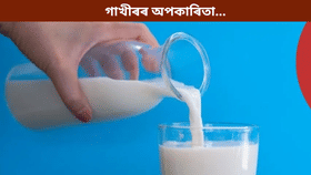 কোনসকল লোকে খাব নালাগে গাখীৰ? জানক চিকিৎসকৰ পৰা…...