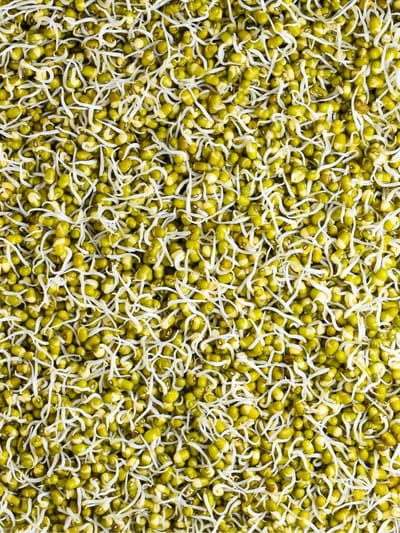 মগু দাইল খোৱাৰ পূৰ্বে সাৱধান, এই ৫ সমস্যা থকা লোকৰ বাবে হ’ব পাৰে বিপদ!