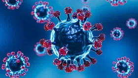 চীনত পুনৰ ভাইৰাছৰ সংক্ৰমণ, কিমান বিপজ্জনক?