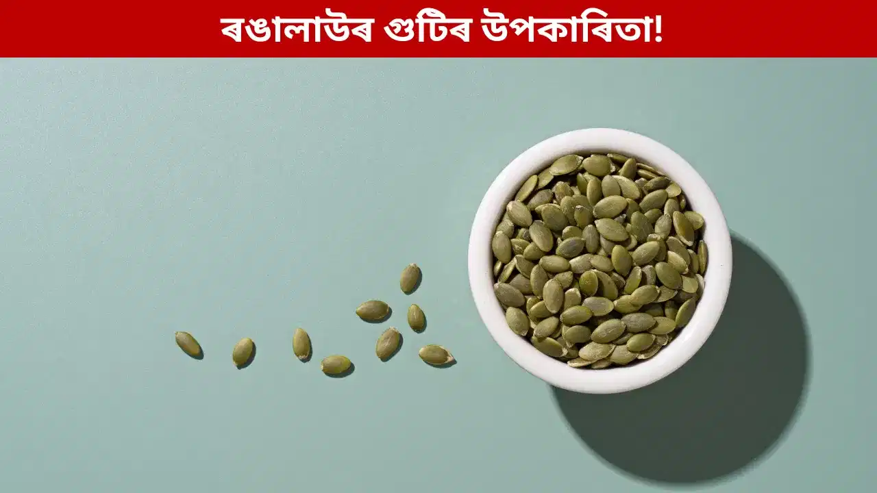 প্ৰতিদিনে ৰঙালাউৰ গুটি খালে পুৰুষসকলে কি উপকাৰ পাব? জানক সকলো…