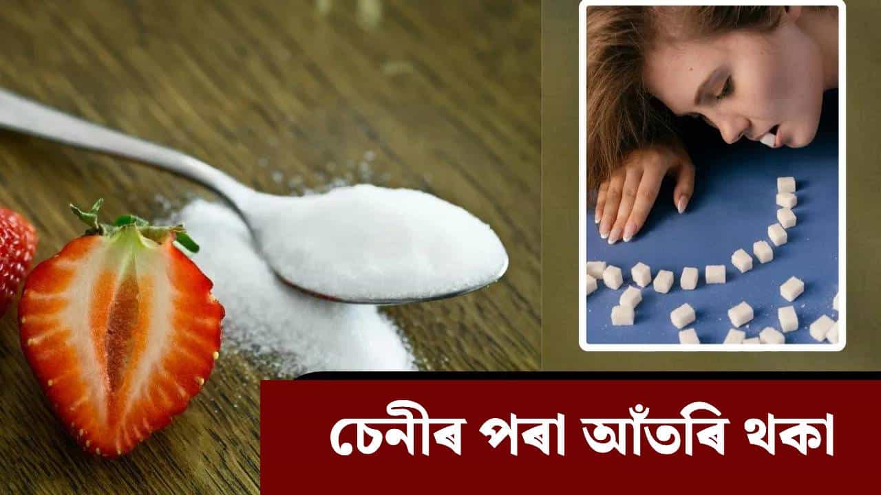 ১৪ দিন চেনী নাখালে লিভাৰত কি প্ৰভাৱ পৰিব? জানিলে আচৰিত হব আপুনি...